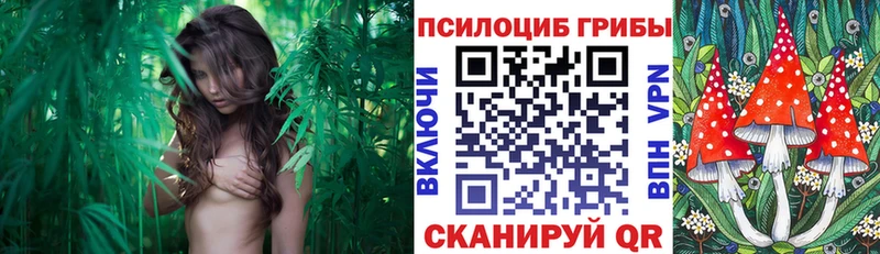Галлюциногенные грибы Magic Shrooms  Купить закладки  Кондрово 