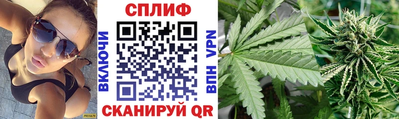 Шишки марихуана семена  Купить где  Кондрово 
